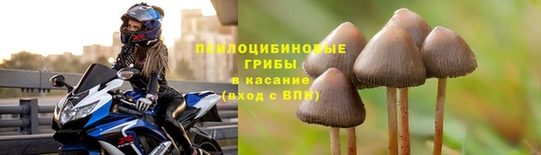 a pvp Мегион
