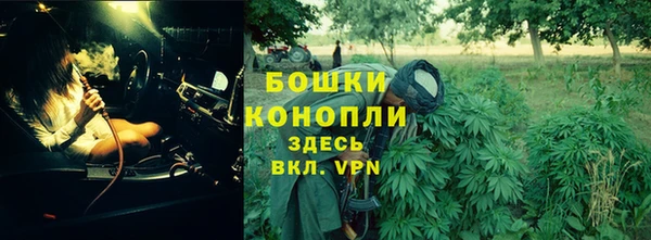 spice Алексин