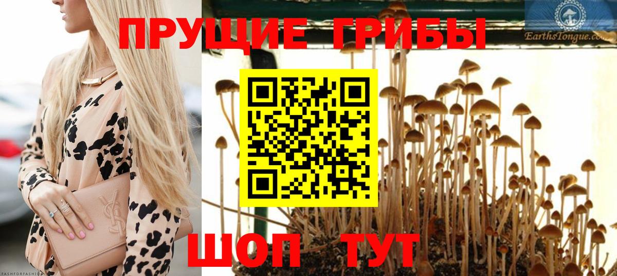 Галлюциногенные грибы Cubensis  Вход с VPN  Первоуральск 
